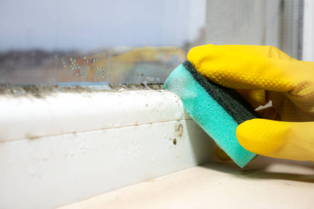 Best Mold Testing and Inspection Services in Warrenton, GA